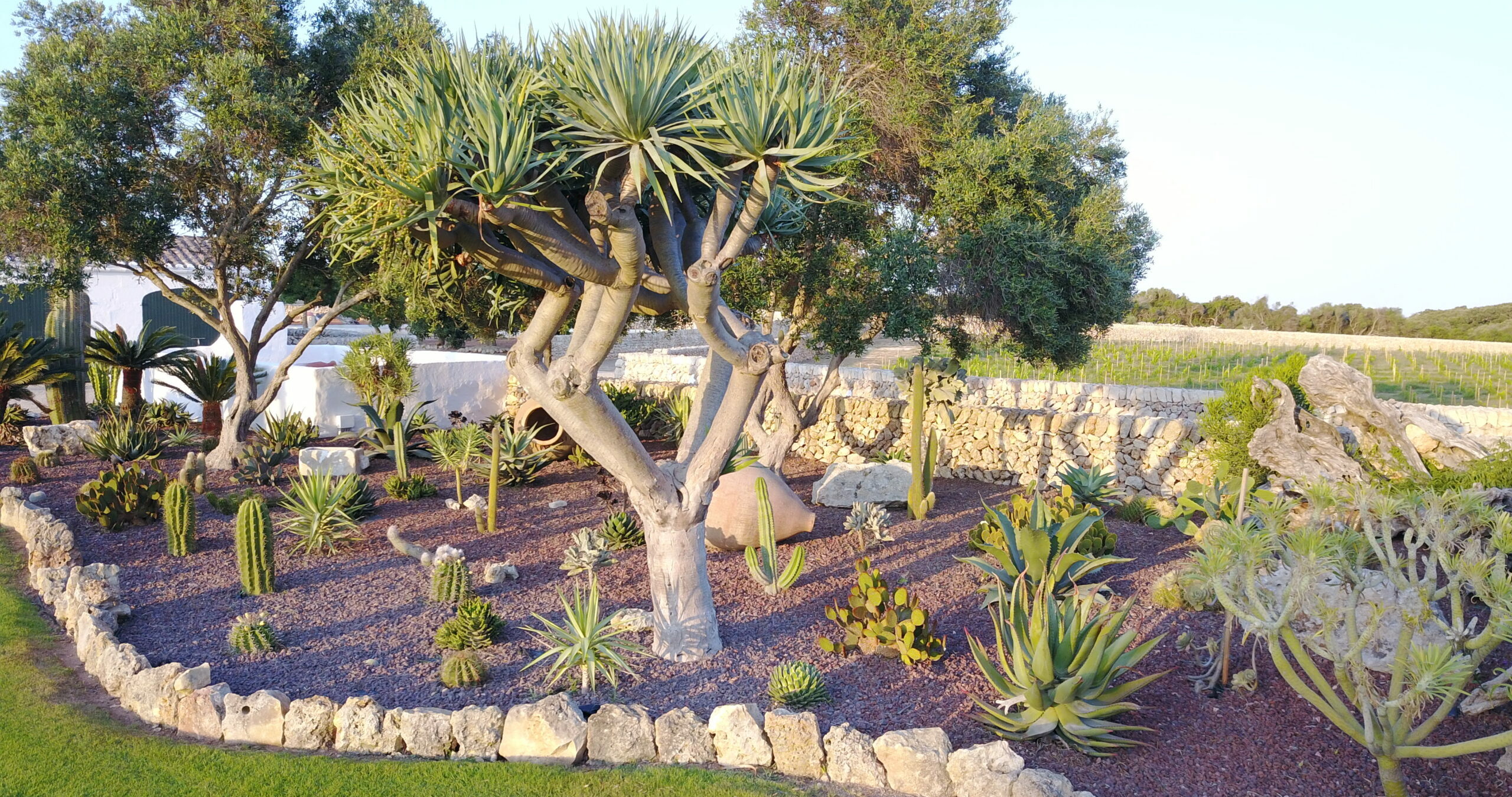 Authentic architecture and charm at finca Son Bonaventura, Menorca
