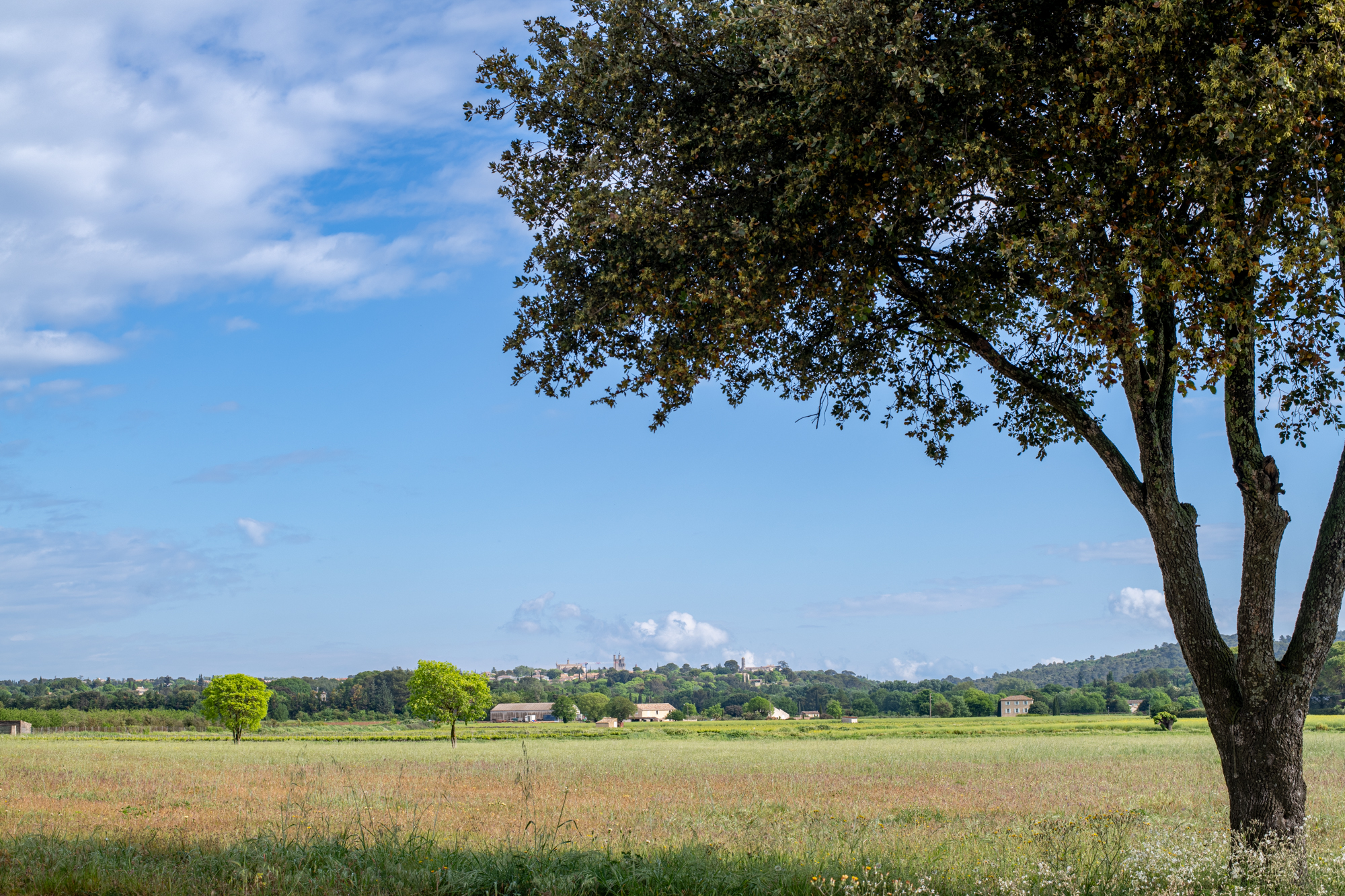 Vista exterior del Château Les Boissières, propiedad de alta gama en Sanilhac Sagriès