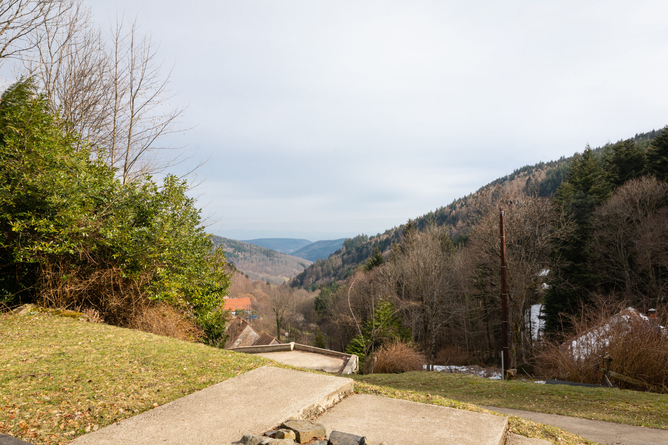 Vue panoramique sur la forêt vosgienne depuis le lodge La Désirade, Linthal